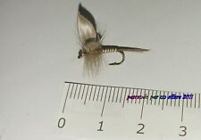 GIORGIO BENECCHI mosche dry