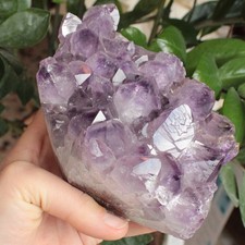 Drusa Grezza AMETISTA Geode