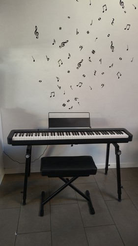 Casio cdp s110 - casio, pianoforte