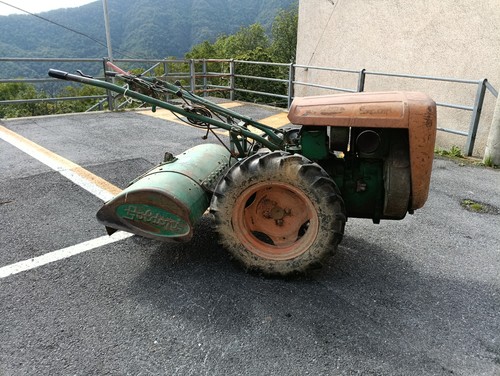 Goldoni tipo export - tipo, xh