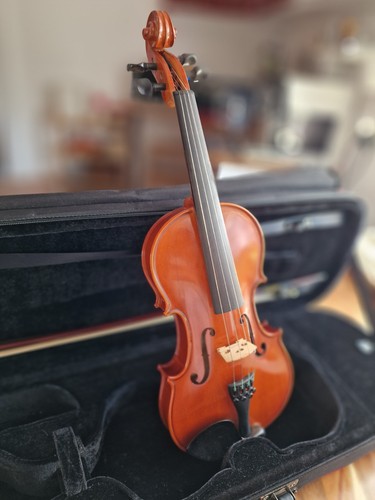 Gewa violino ideale - gewa,