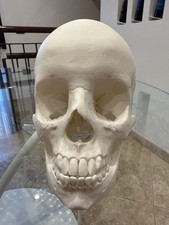 Riproduzione di teschio