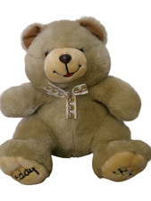 Peluche marrone Teddy dice che