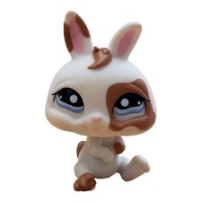 Littlest Pet Shop~#1359~Dwarf