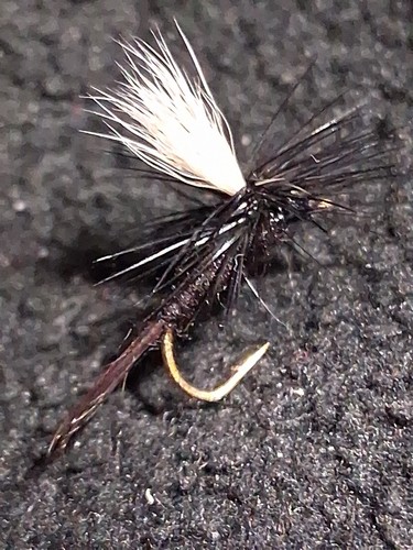 Paracadute moscerino nero - paracadute,