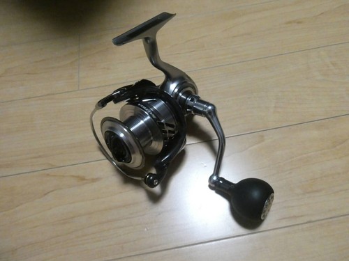 Daiwa saltiga anno 4000 - daiwa, 17