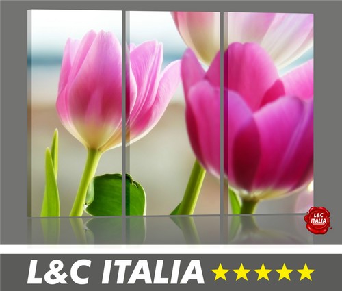 Tulipani 3 quadri - ,