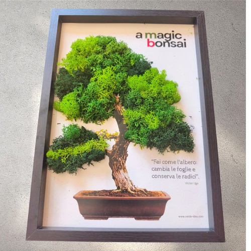 Quadro bonsai verde - quadro,