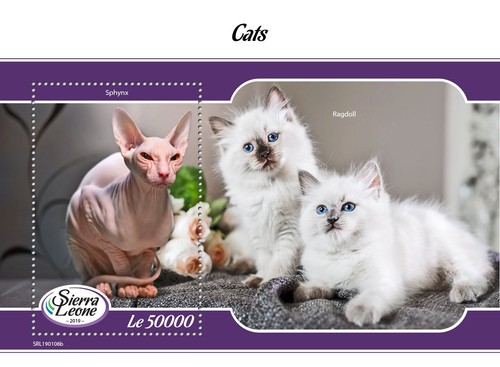 Francobolli gatti sphynx - francobolli,