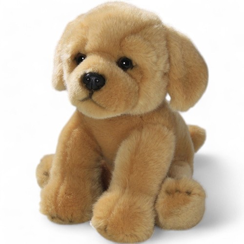 Carl dick cucciolo golden - carl,