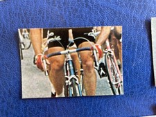 PANINI SPRINT 79 FIGURINA N