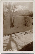 Studio sull'albero originale