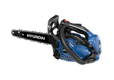 Motosega da potatura Carving