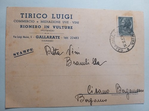 Rionero vulture - rionero,