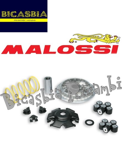 20076 variatore malossi - -,