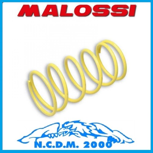 Molla variatore malossi - molla,