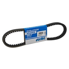Cinghia Variatore Polini Evo