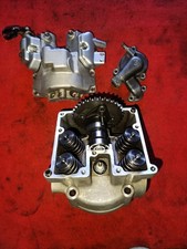 Testa Testata Completa