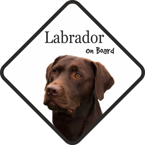 Insegna auto labrador marrone - insegna,