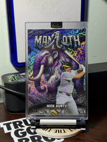 2024 wild card dino might - 2024,
