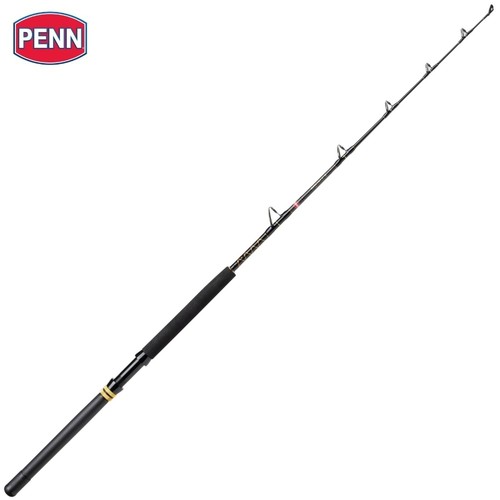 Canna pesca penn - canna, da