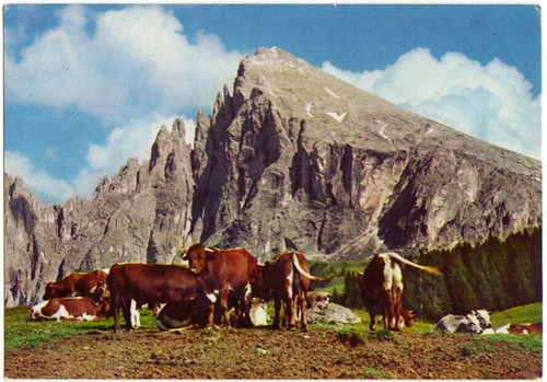 Alpe siusi il sassopiatto - di,