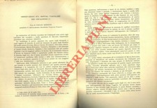 Osservazioni sul sistema