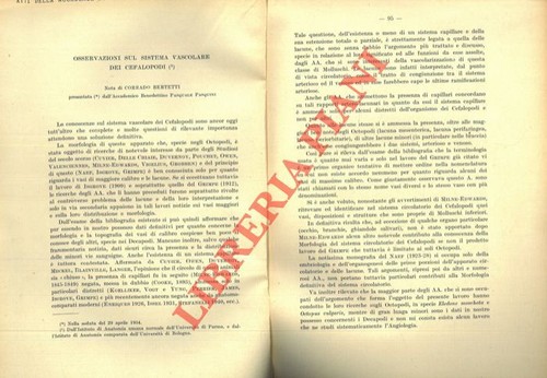 Osservazioni sul sistema