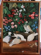 Dipinto olio su tela Colombi e fiori  .