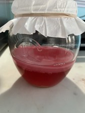 Kombucha Starter forte e sano