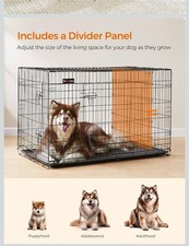 Feadrea Gabbia per Cani e