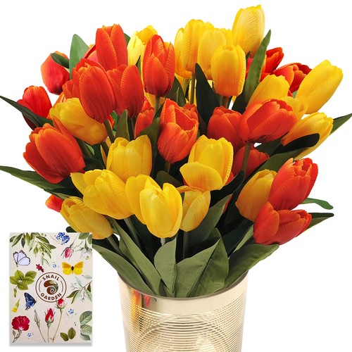 Snail garden set 36 - garden, di
