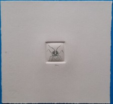 Guido Strazza (Santa Fiora 1922) - Insetti, 1980 - Incisione n° 27