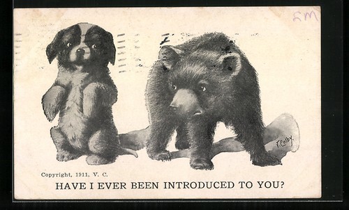 Piccolo orso bruno - , con