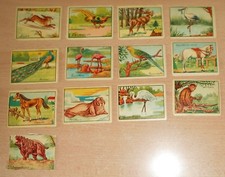 LOTTO DI  12  FIGURINE