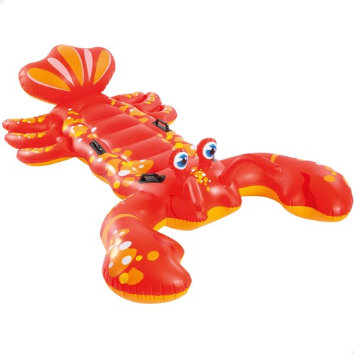 Aragosta cavalcabile - aragosta,