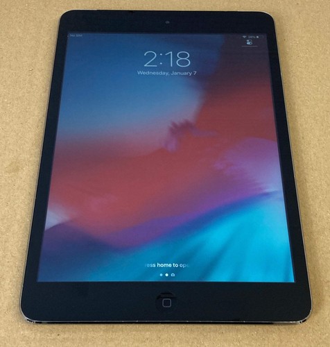 Apple ipad mini generazione - apple,