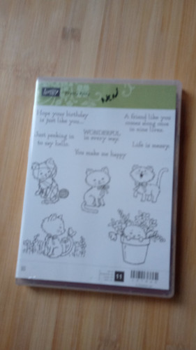 Stampin pretty kitty - stampin',