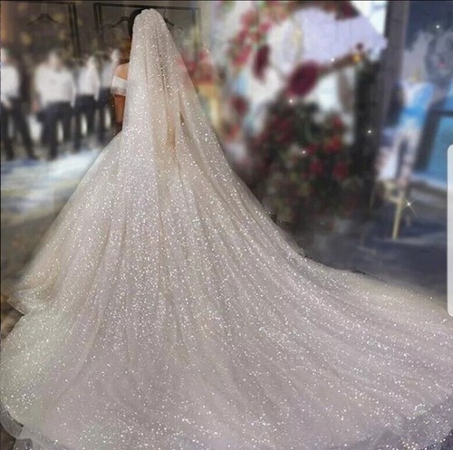 Velo sposa scintillante - sposa,