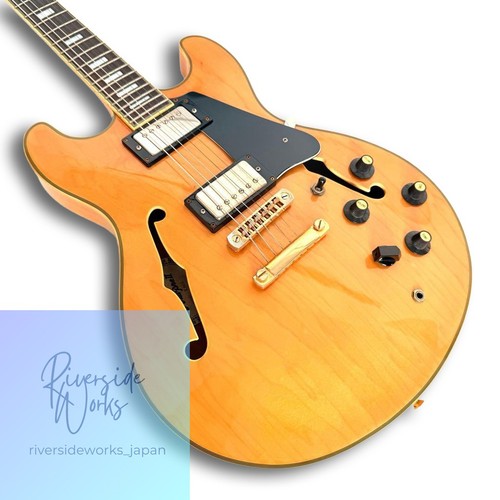 Rara chitarra semiacustica