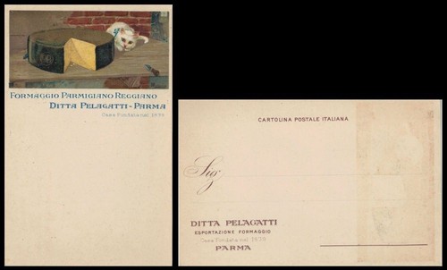 Cartolina formaggio parmigiano - cartolina,
