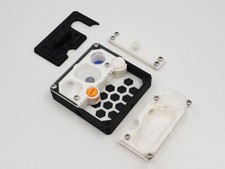 Stampa 3D PLA New Queen Ant