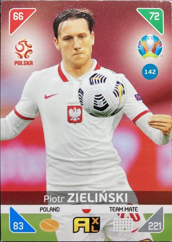 Panini adrenalyn uefa euro - adrenalyn,