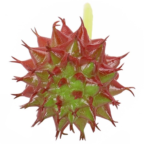 Pratica pianta finta