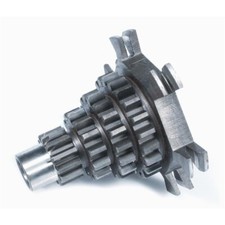 Ingranaggio albero multiplo