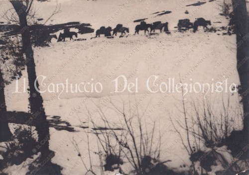 Ww1 colonna truppe con cavalli - con,