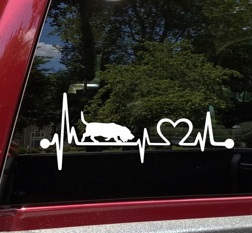 Basset hound heartbeat vinile - heartbeat,