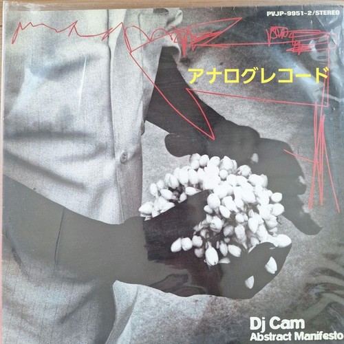 Cam 2lp vinyl - vinyl, hop