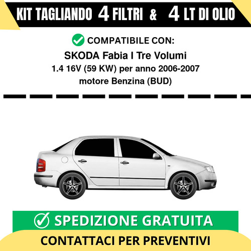 Tagliando per skoda fabia - tagliando,