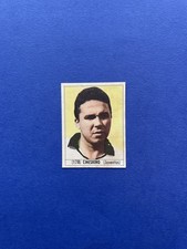 CINESHINO CALCIO ITALIA